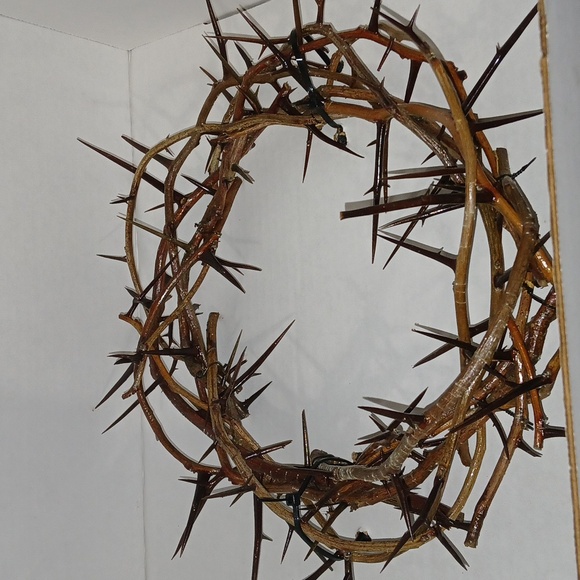 Crown of Thorns 24" - Picture 5 of 7